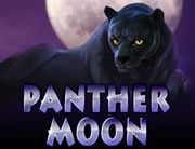 Panther_Moon_180х138